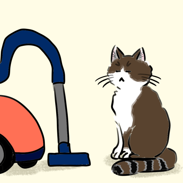 猫の抜け毛対策に安い掃除機を使う方法は？