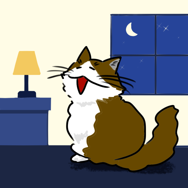 老猫が夜中に鳴き続ける時の対策とは？