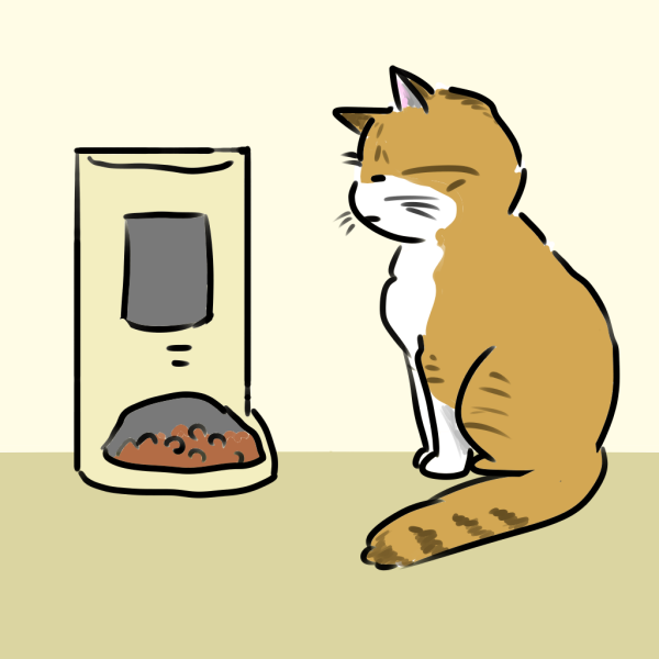 猫用自動給餌器のデメリットとは？比較して知っておきたい注意点