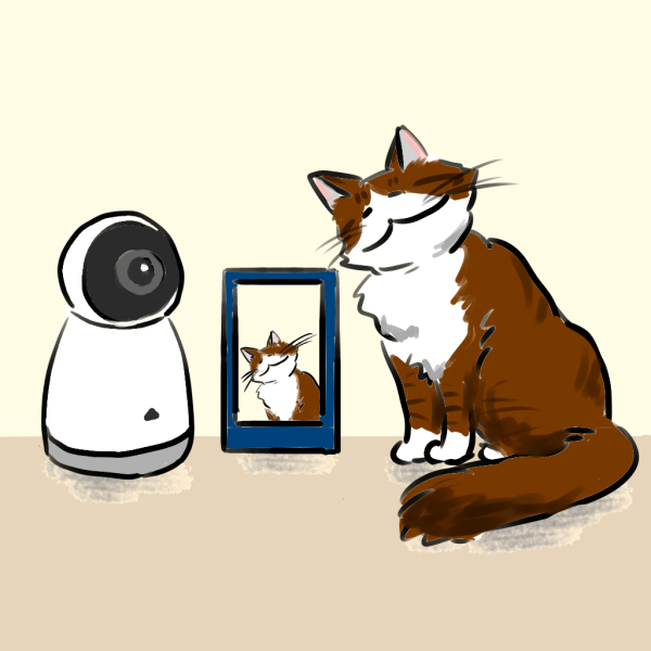 猫の留守番を見守るカメラ、スマホでおすすめできる機種は？