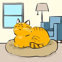シニア猫が喜ぶ過ごし方ってどんなもの？