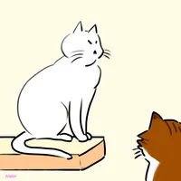 老猫の体重減少、病気じゃないのかどうかを考える？