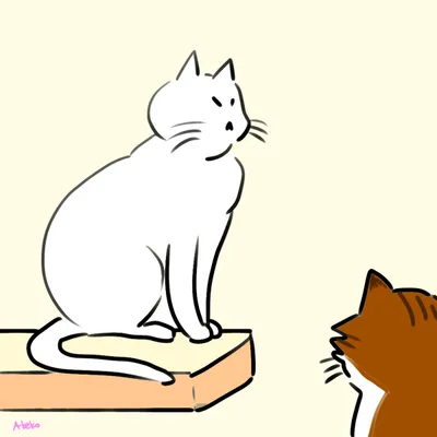 老猫の体重減少、病気じゃないのかどうかを考える？