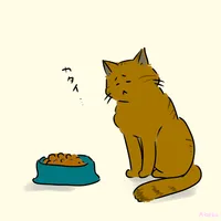 老猫がドライフードを食べなくなったときのふやかし方とは？