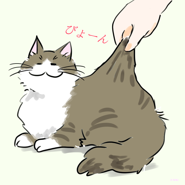 猫の体の表面がびよんと伸びる理由とは？