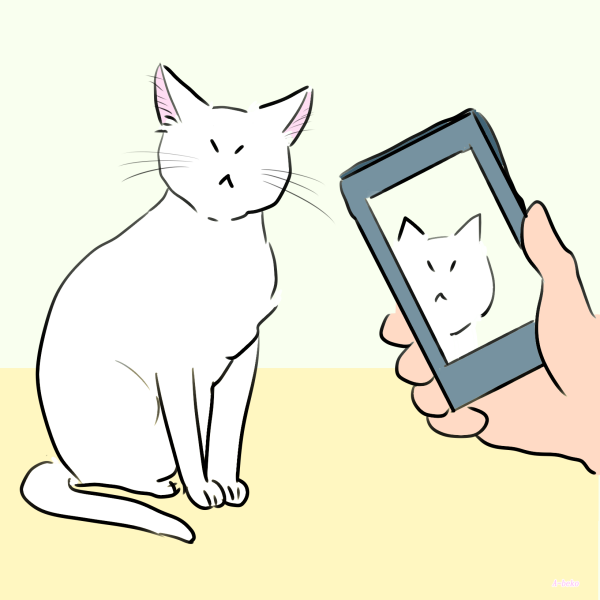猫がスマホ撮影を逃げる理由とは?