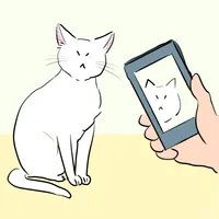 猫がスマホ撮影を逃げる理由とは？