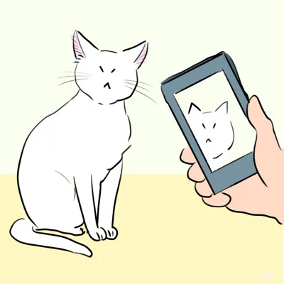 猫がスマホ撮影を逃げる理由とは？