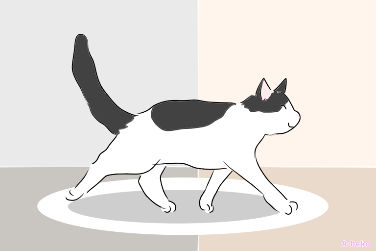 猫がまたぐ意味や迷信って本当？